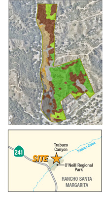 Saddle Club Location